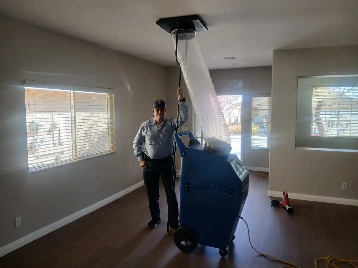 Professional Dryer Vent Cleaning work inside a Green home